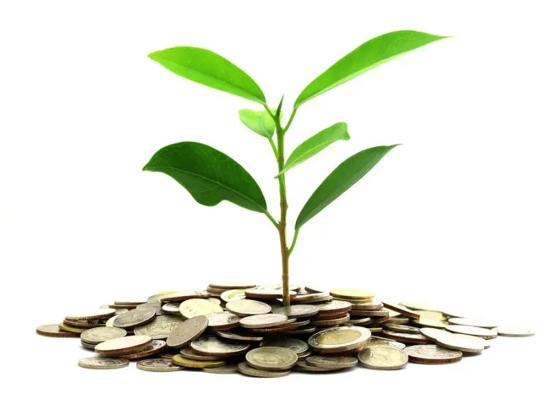 Инвестиции SKF в сохранение экологии | Свежие новости в Брянске